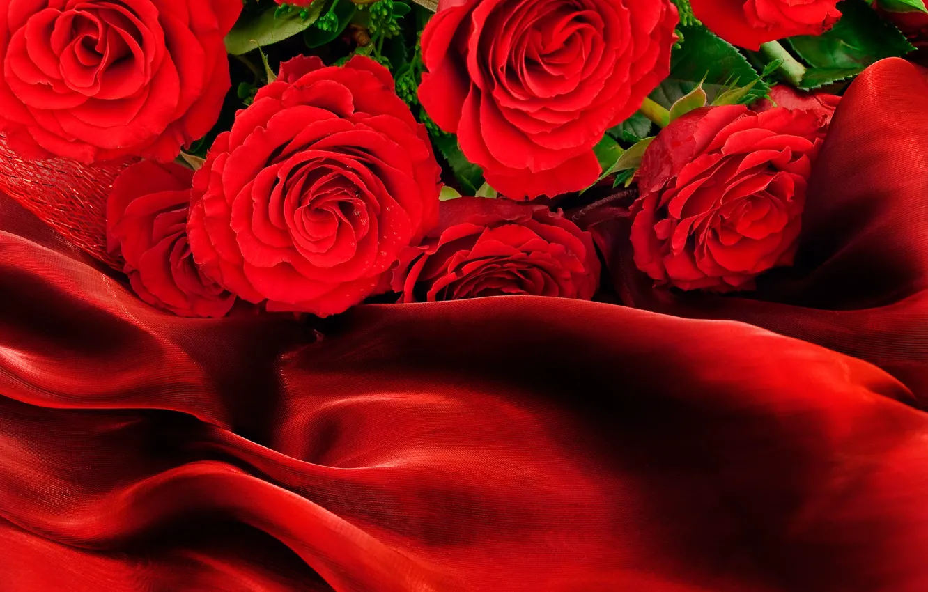Photo wallpaper roses, red, fabric, bokeh, closeup