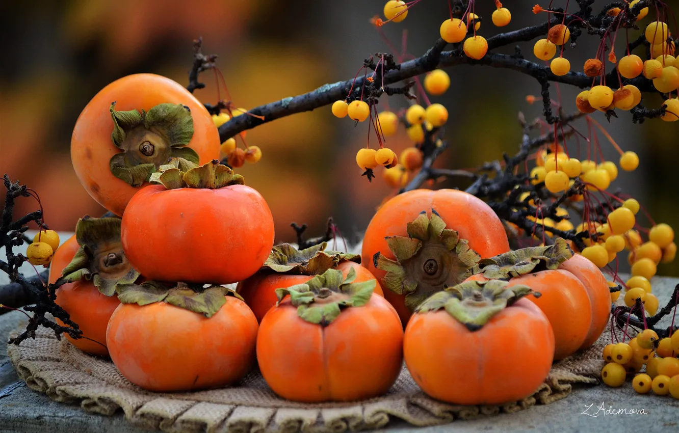 Photo wallpaper autumn, branches, berries, fruit, napkin, persimmon