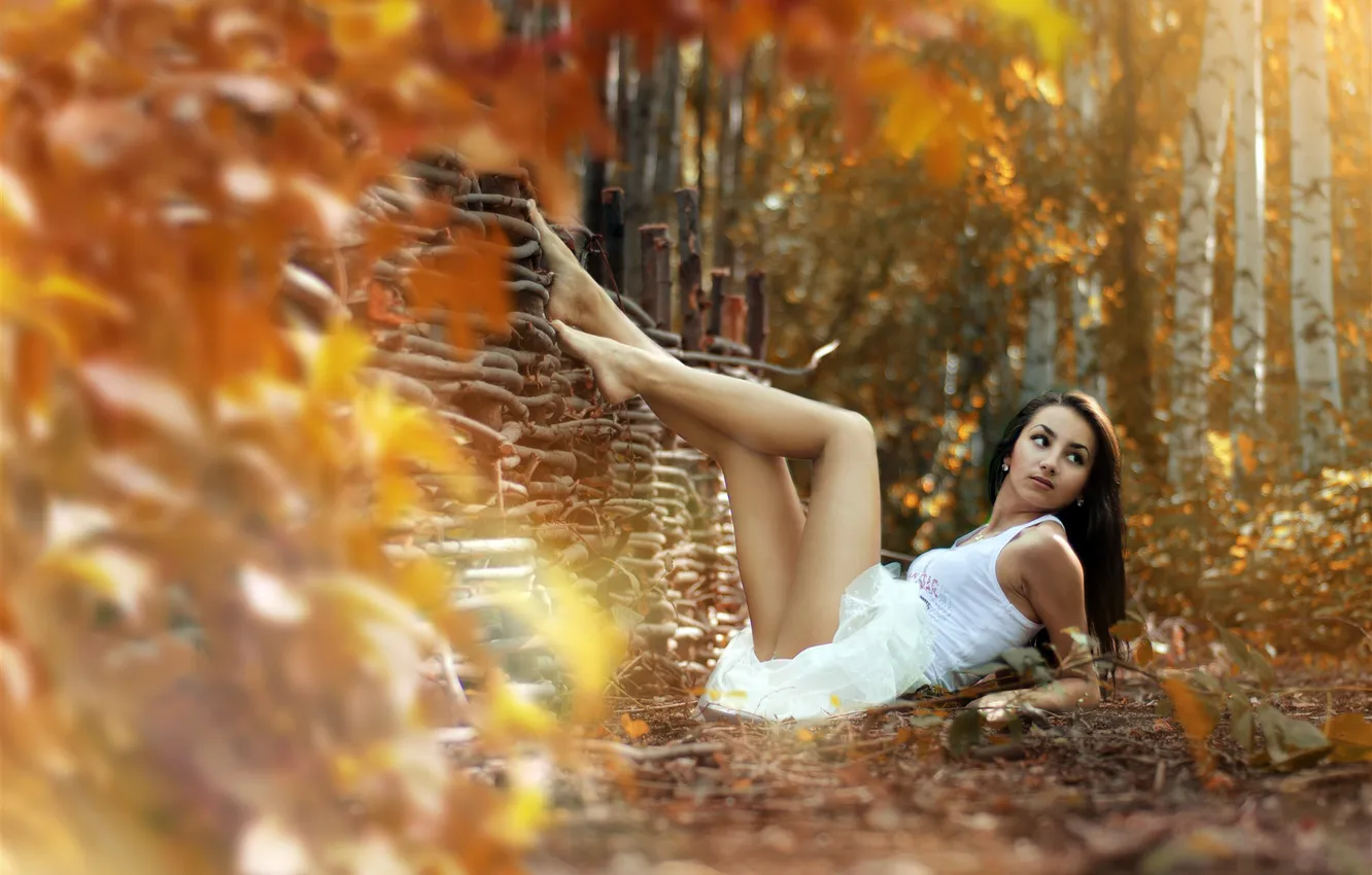 Photo wallpaper autumn, forest, white, look, nature, foliage, the fence, dress