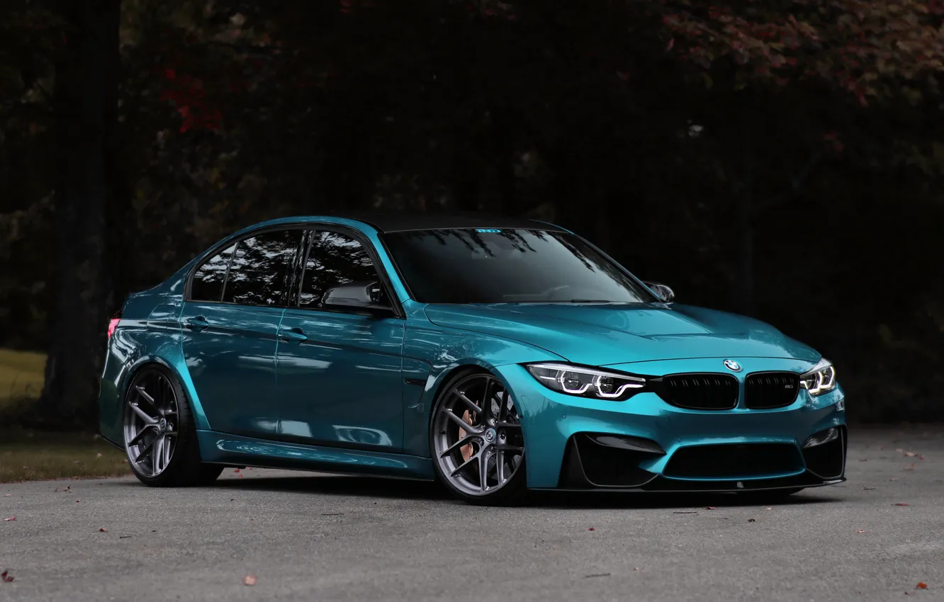 Photo wallpaper BMW, Predator, blue, F80, Sight, 3/4