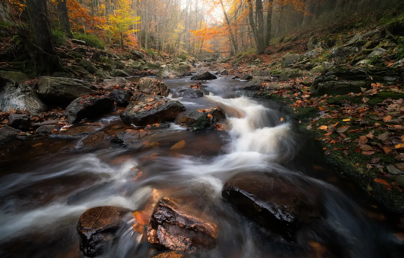 Photo wallpaper autumn, Park, river