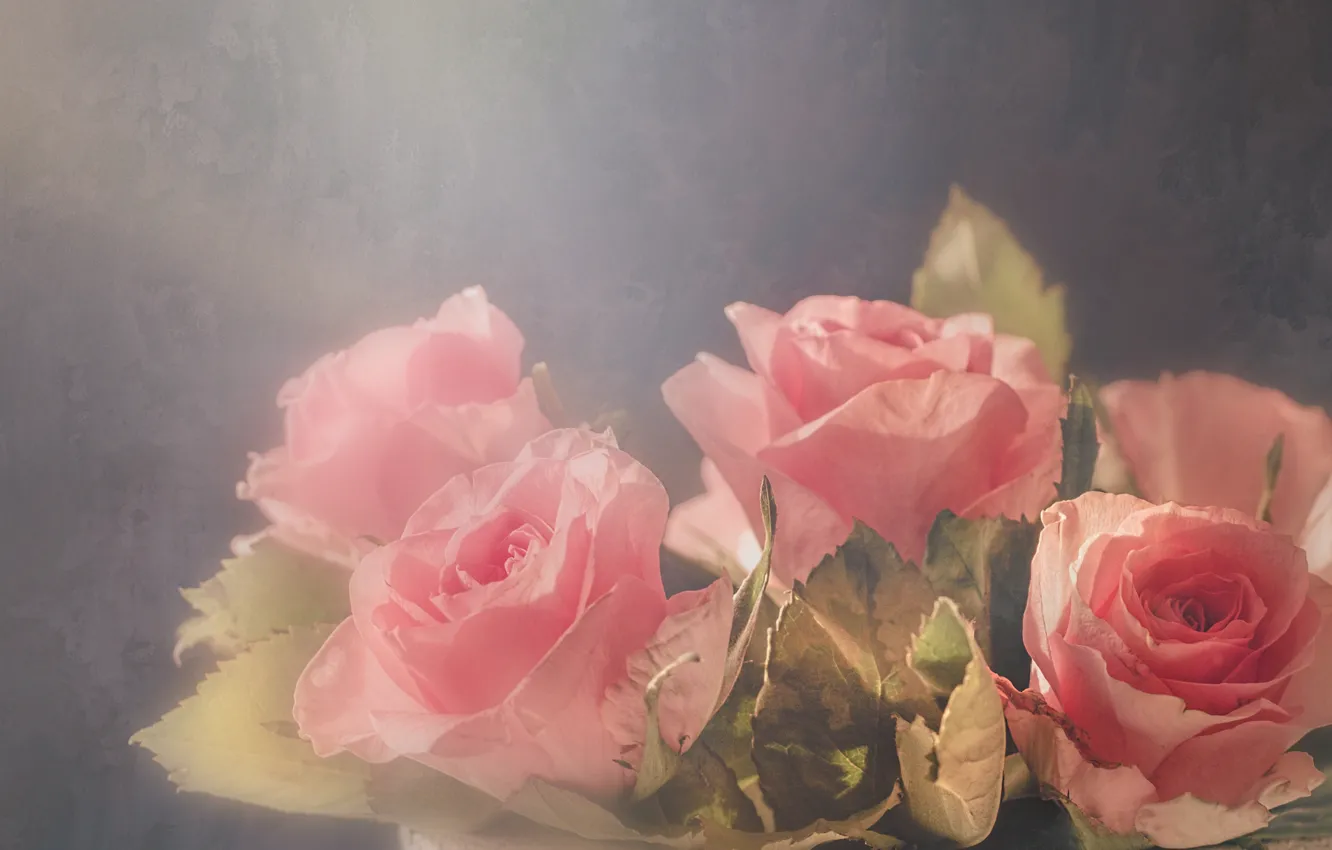 Photo wallpaper light, background, roses, pot