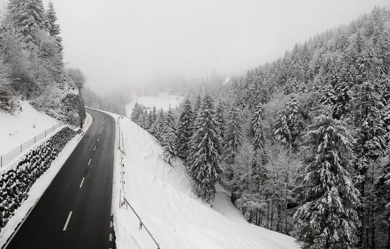 Photo wallpaper winter, road, forest, snow, spruce forest