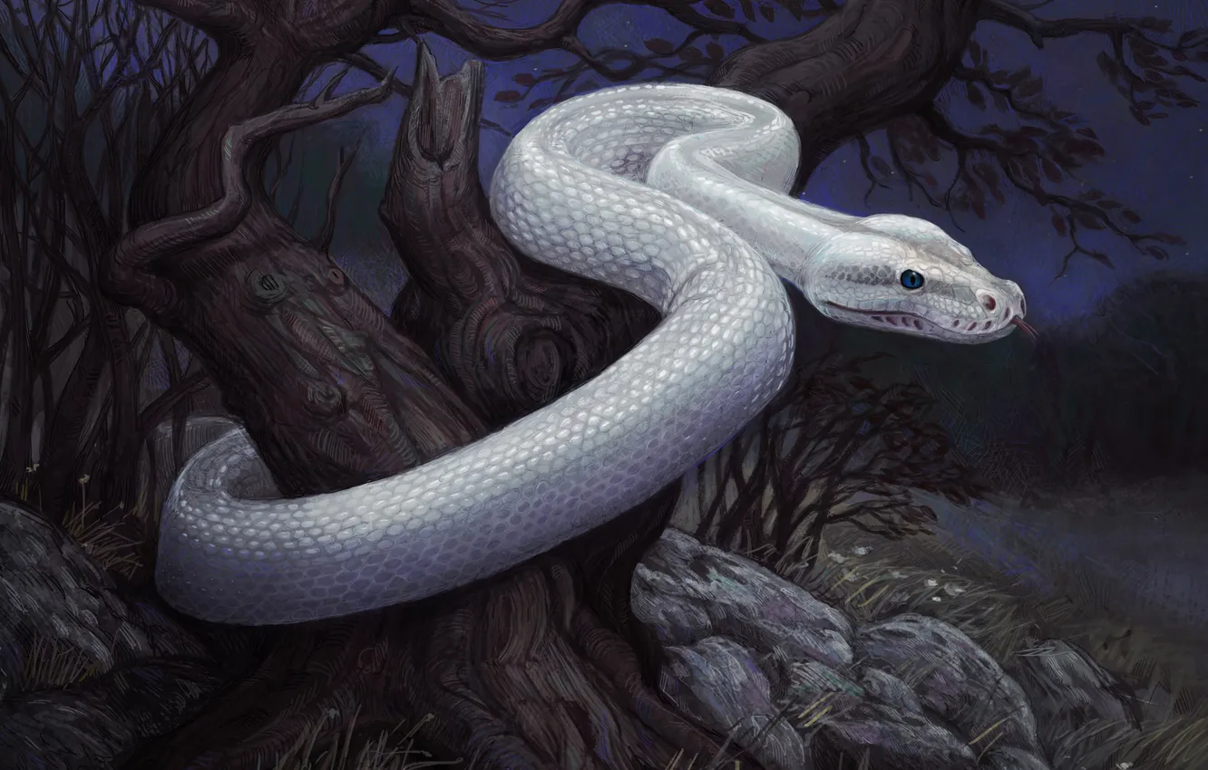 Photo wallpaper white, trees, stones, snake, art, trunk, gloomy, reptile