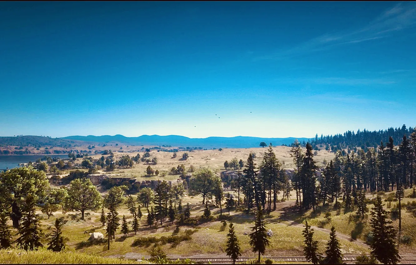 Photo wallpaper HDR, game, sky, trees, landscape, wood, UHD, 4k