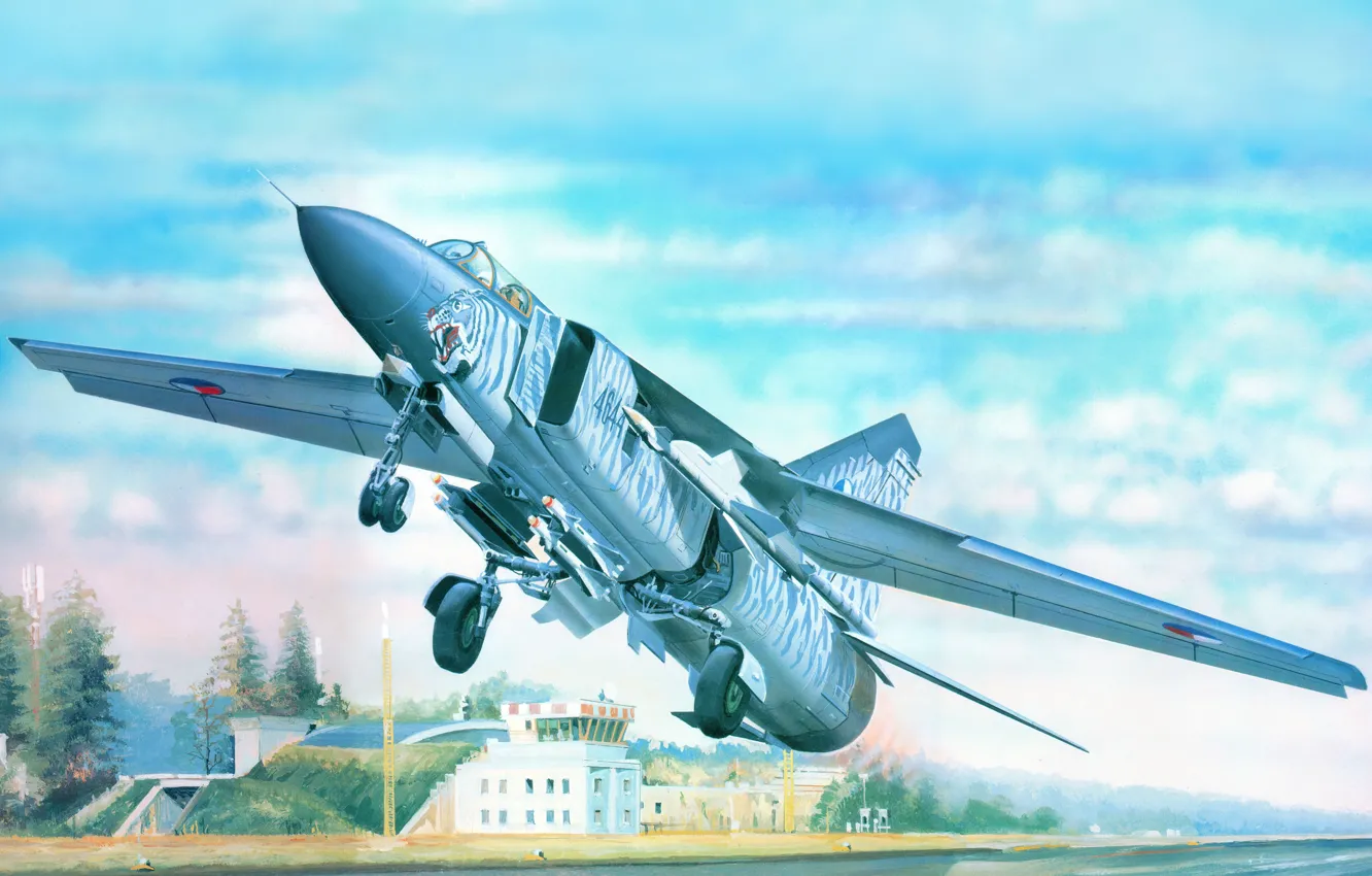 Photo wallpaper figure, art, The MiG - 23ML