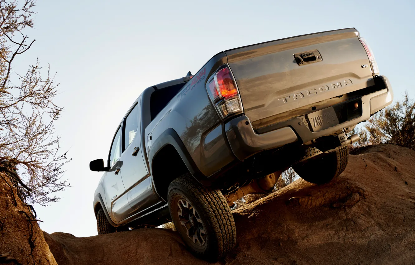 Photo wallpaper Toyota, pickup, feed, Tacoma, 2020