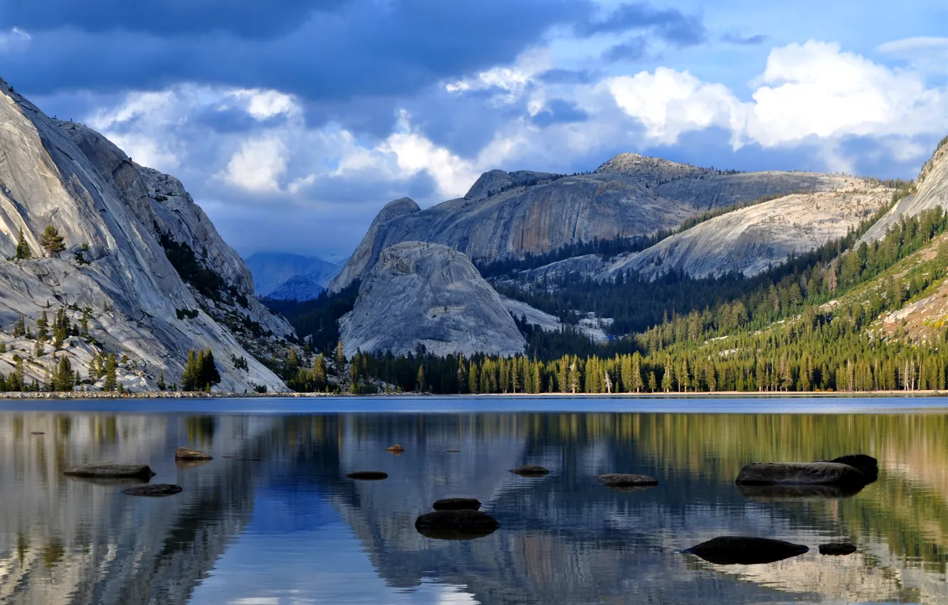 Photo wallpaper forest, the sky, water, clouds, trees, mountains, clouds, lake