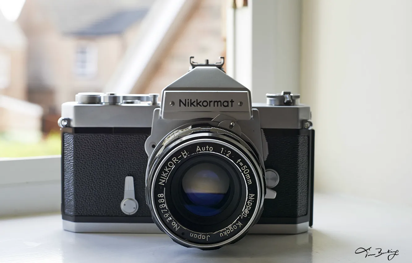 Photo wallpaper macro, background, camera