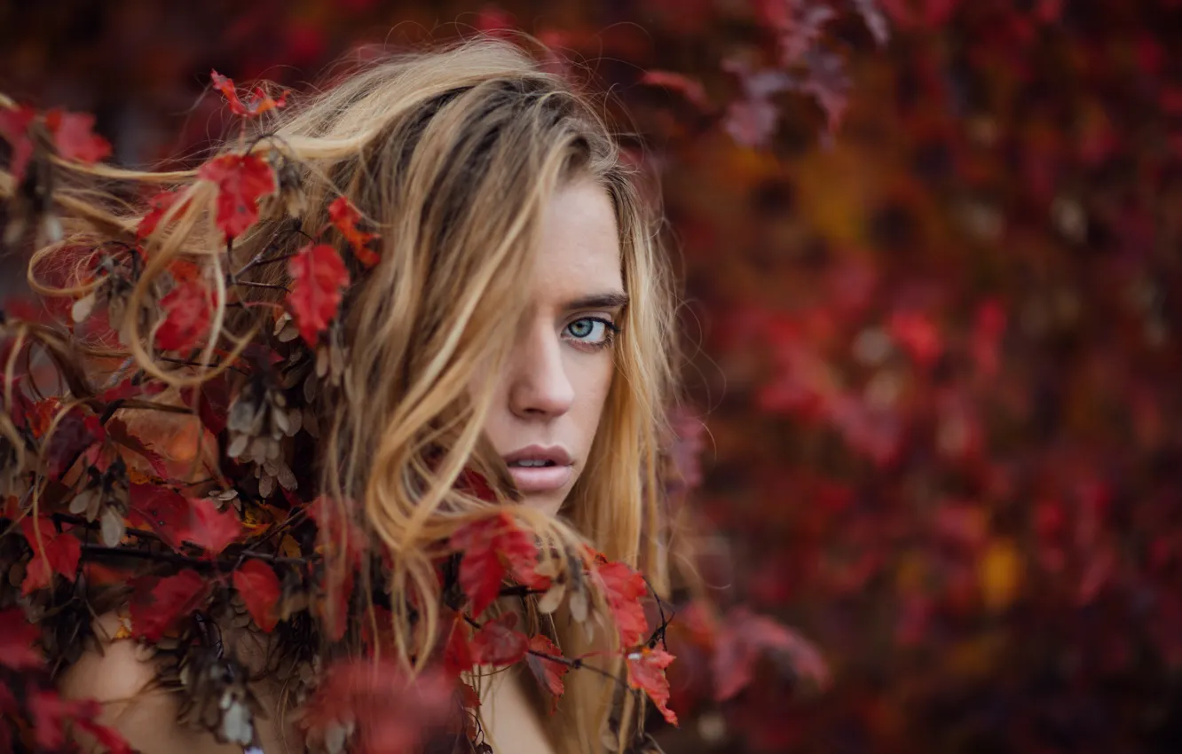 Photo wallpaper autumn, look, leaves, bokeh, Marta, Jesse Duke