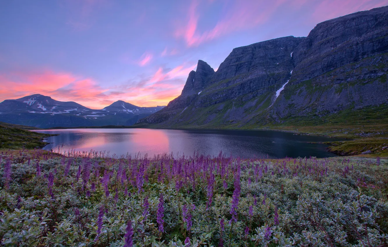 Photo wallpaper flowers, mountains, lake, sunrise, Norway, Norway