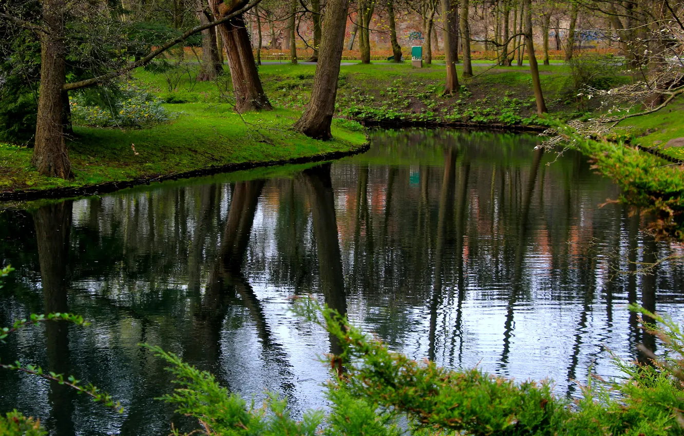 Photo wallpaper water, park, lake, tree, pond