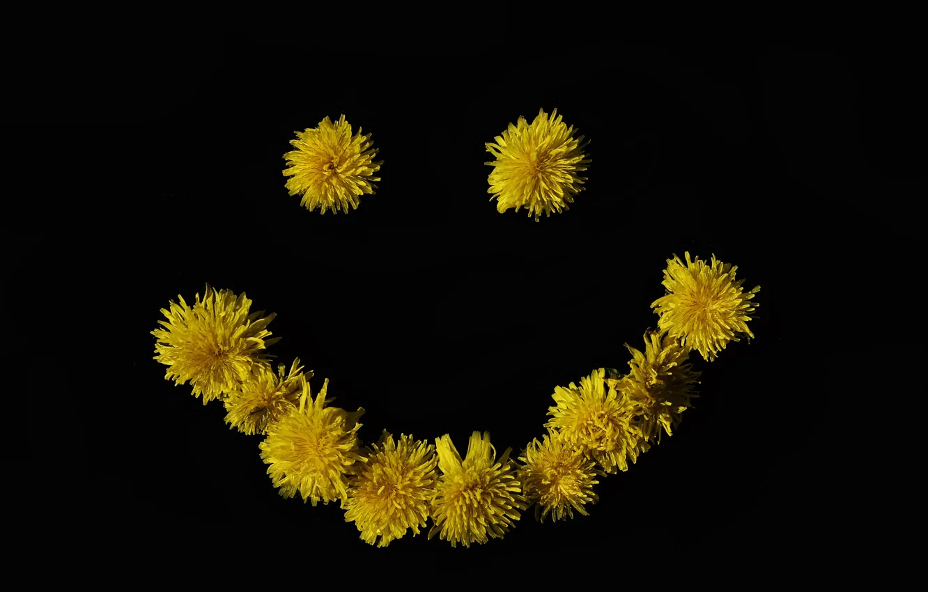 Photo wallpaper flower, smile, smiley