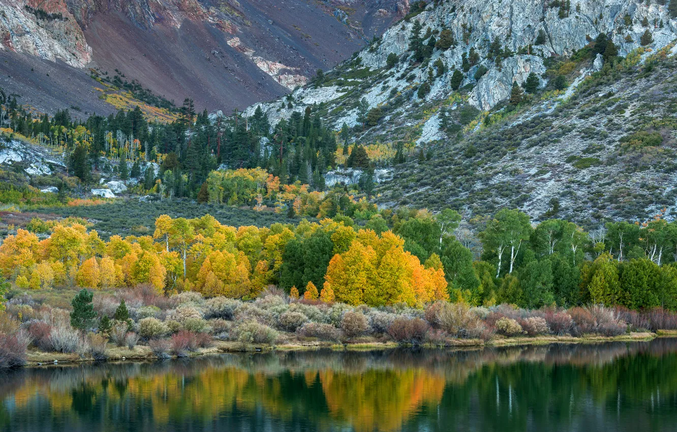 Photo wallpaper autumn, trees, mountains, lake, stones