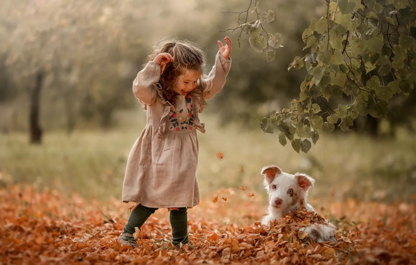 Photo wallpaper autumn, leaves, joy, girl, puppy