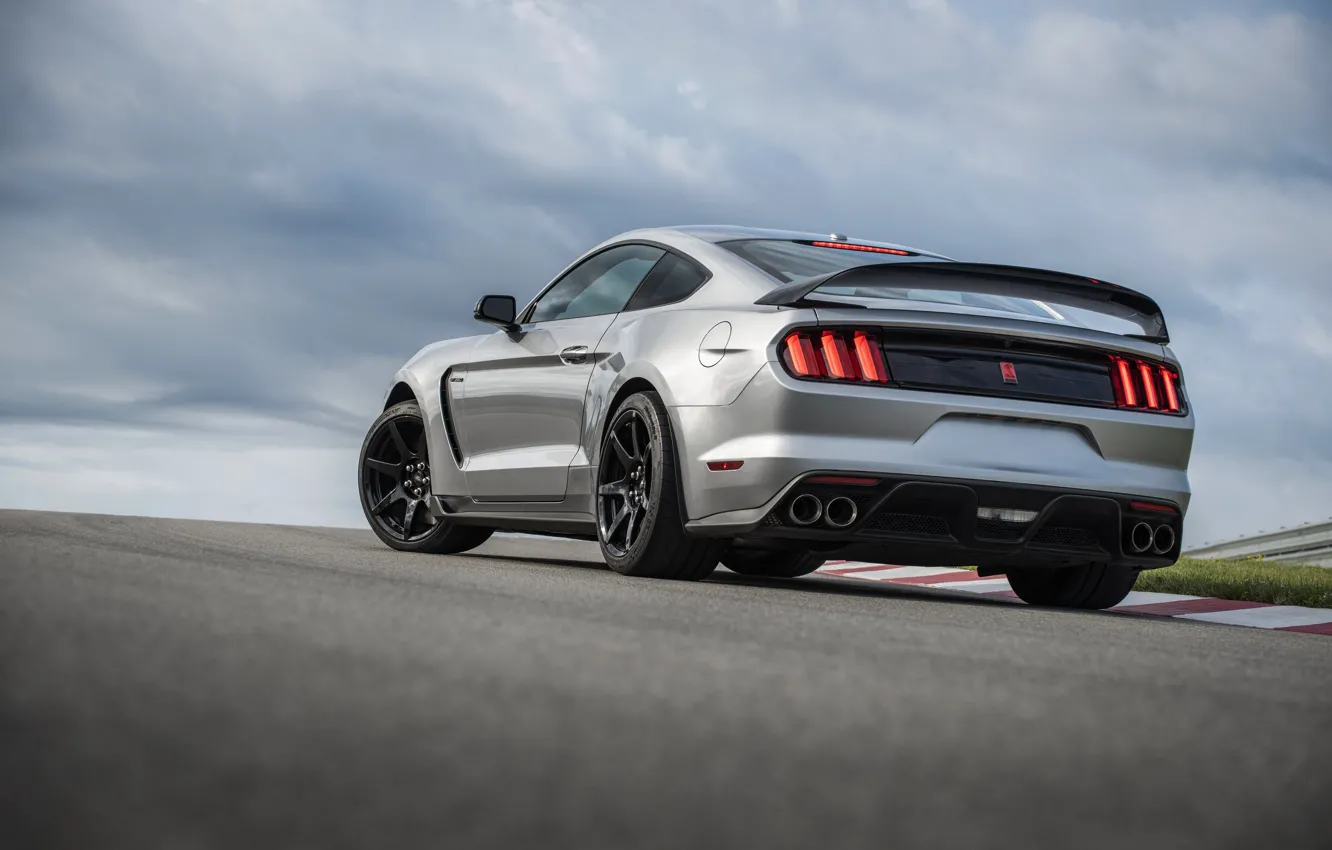 Photo wallpaper grey, Mustang, Ford, Shelby, back, GT350R, 2020