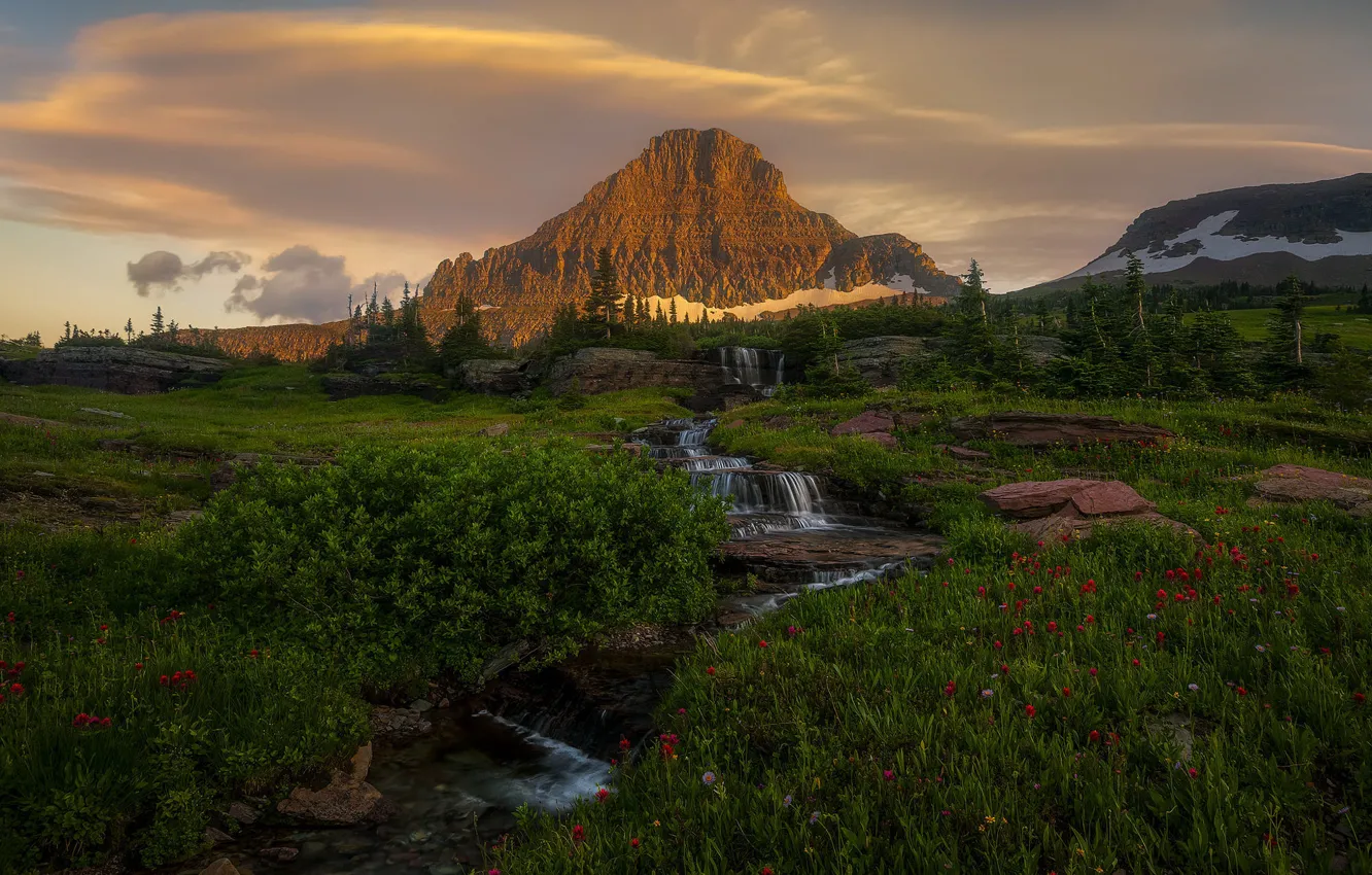 Photo wallpaper greens, forest, summer, the sky, clouds, flowers, mountains, stream
