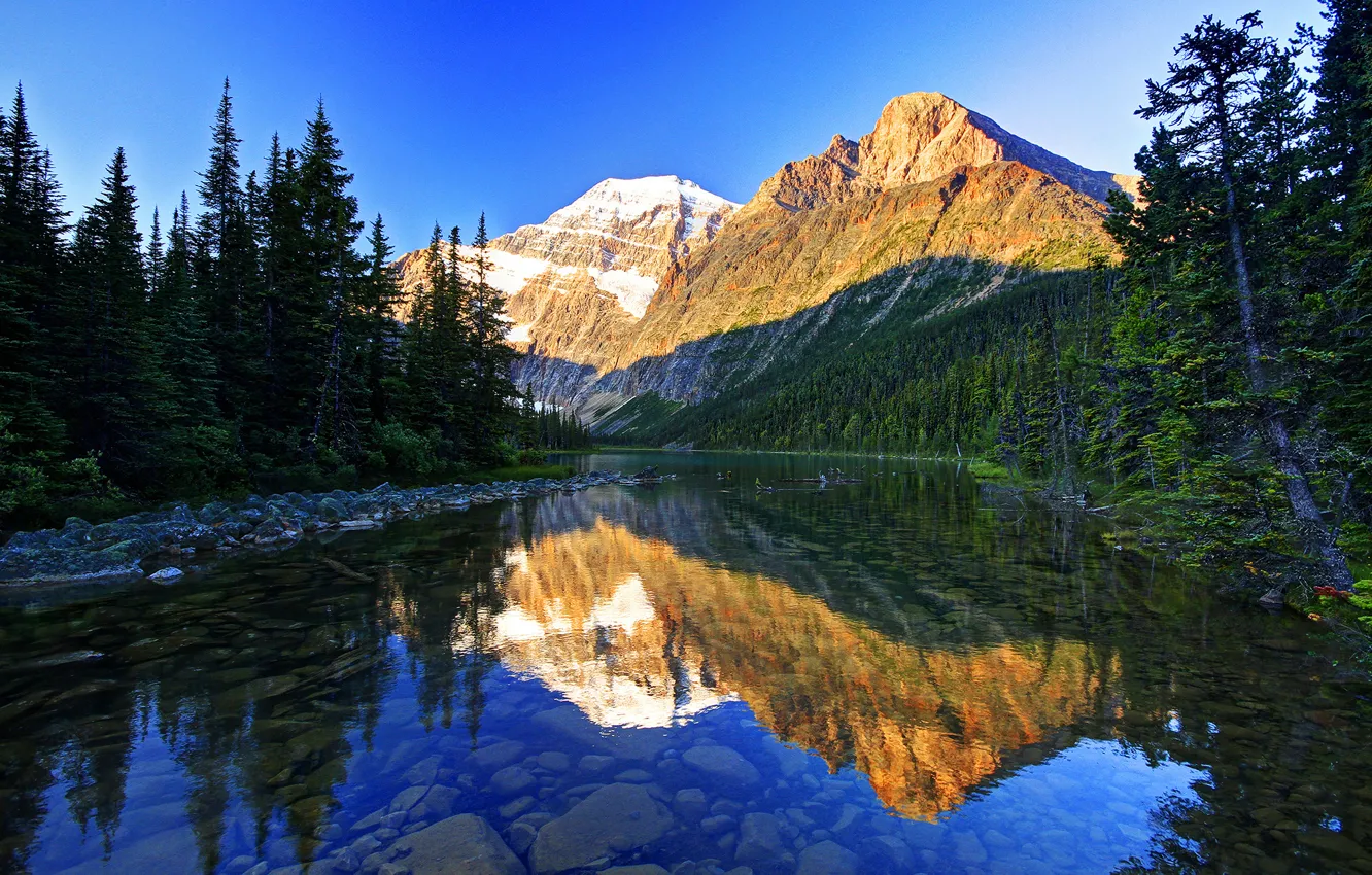 Photo wallpaper forest, the sky, the sun, trees, mountains, reflection, river, stones