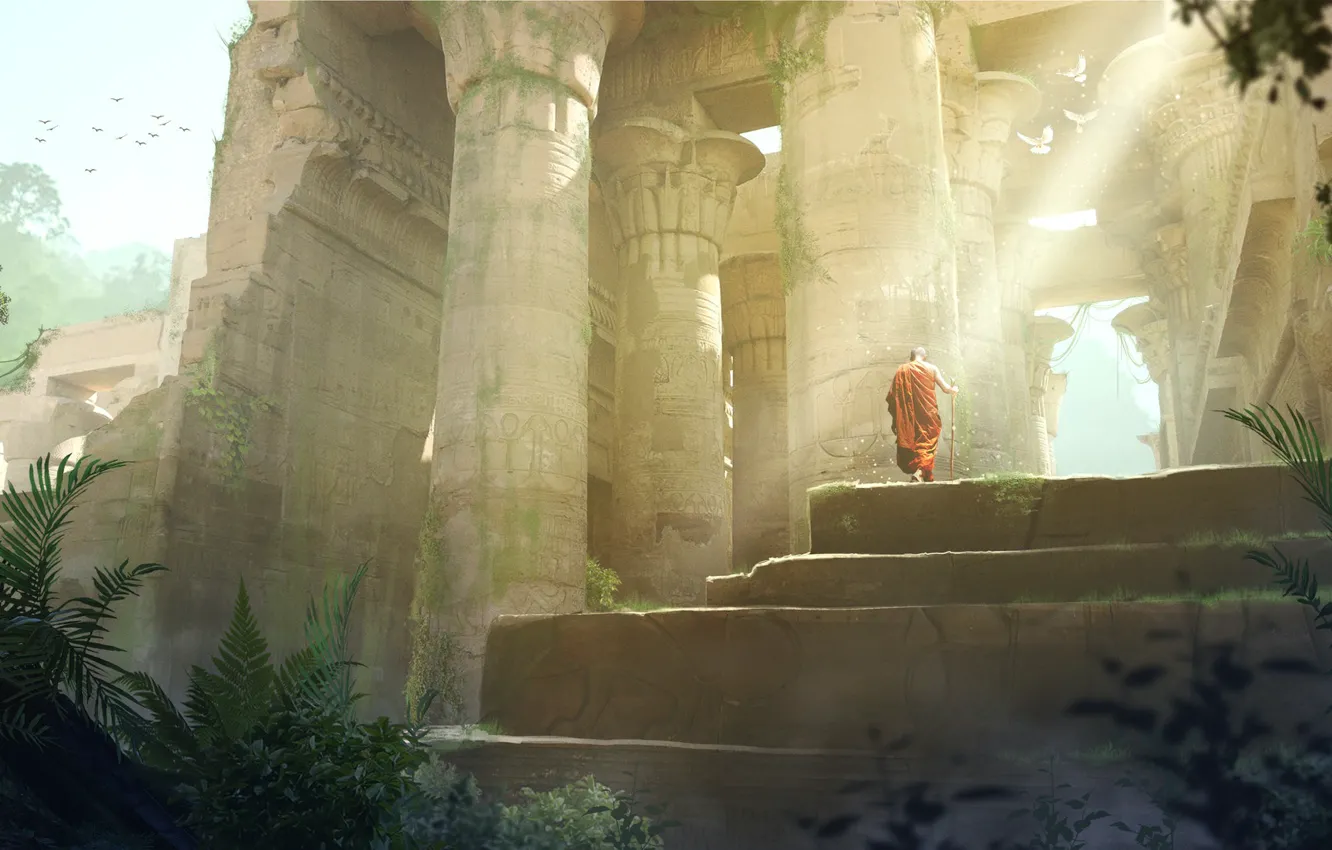 Photo wallpaper bird, monk, temple, staff, Munk