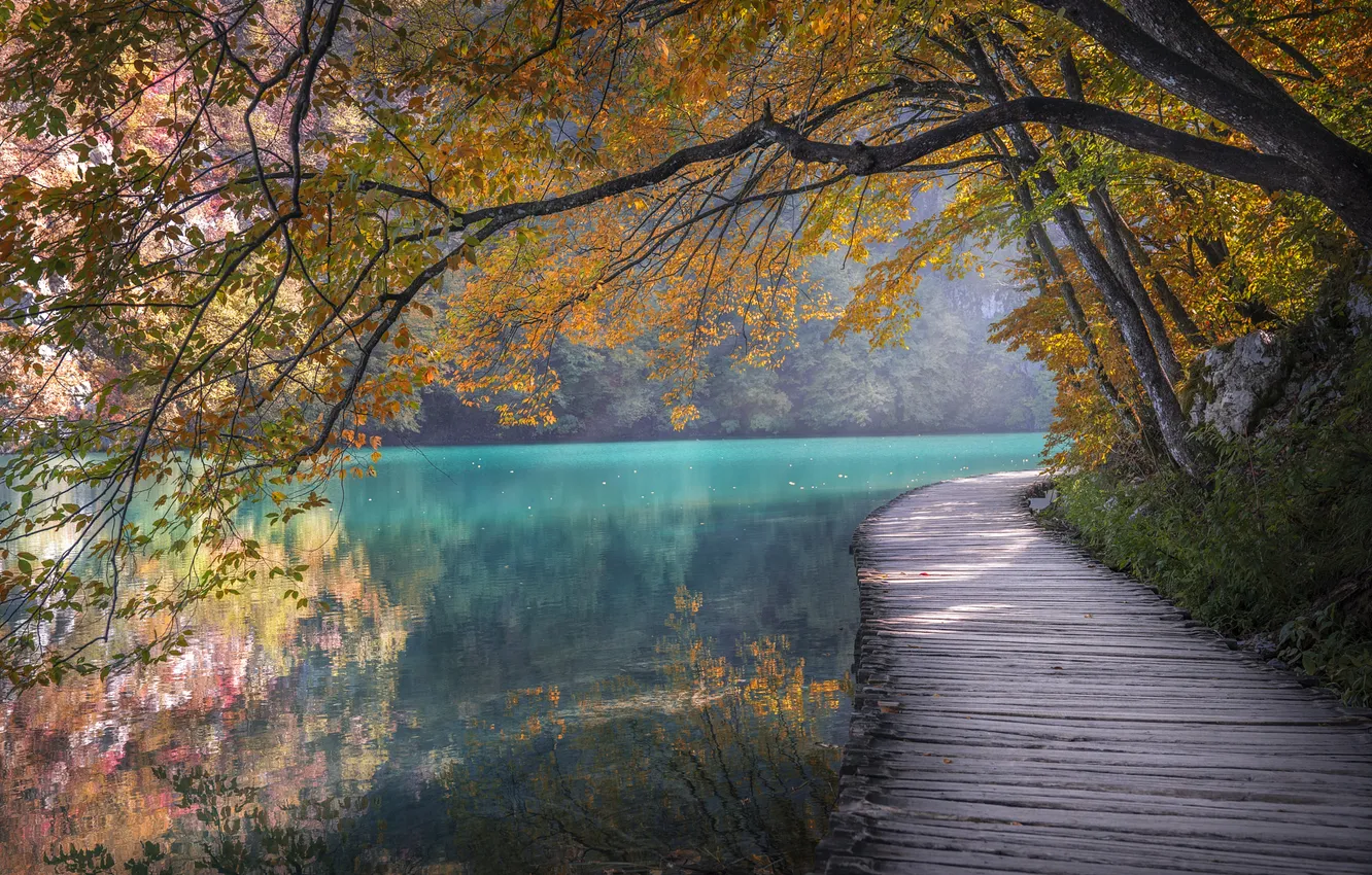 Photo wallpaper autumn, trees, Board, pond, flooring
