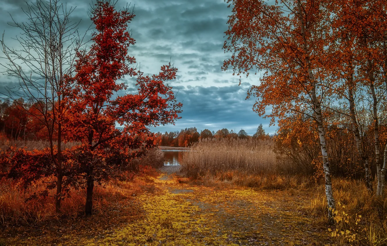 Photo wallpaper autumn, lake, shore