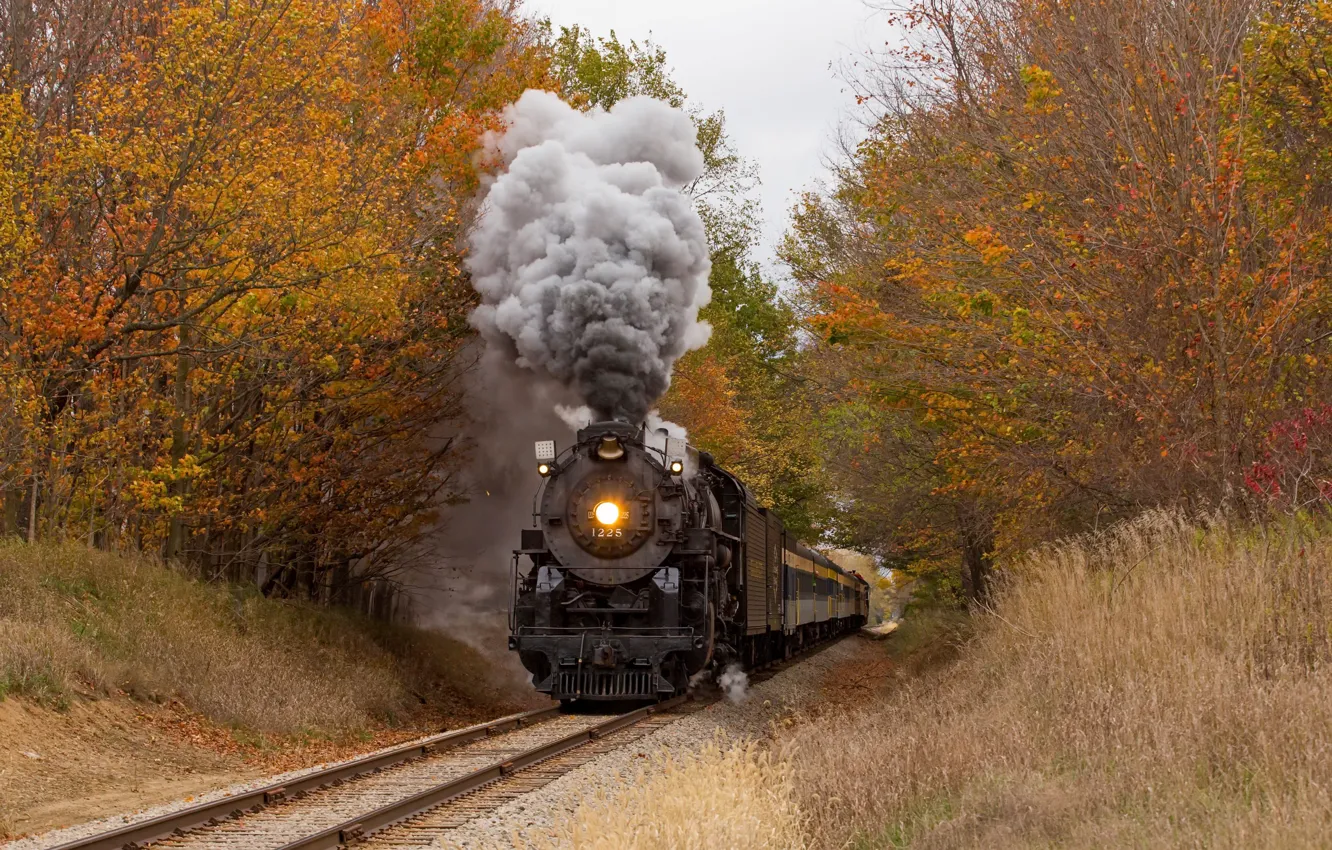 Photo wallpaper autumn, forest, train