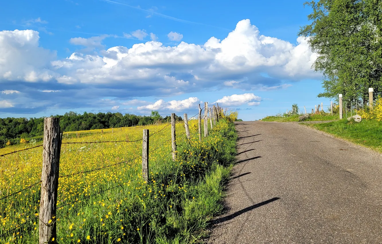Photo wallpaper road, field, forest, summer, the sky, grass, clouds, light