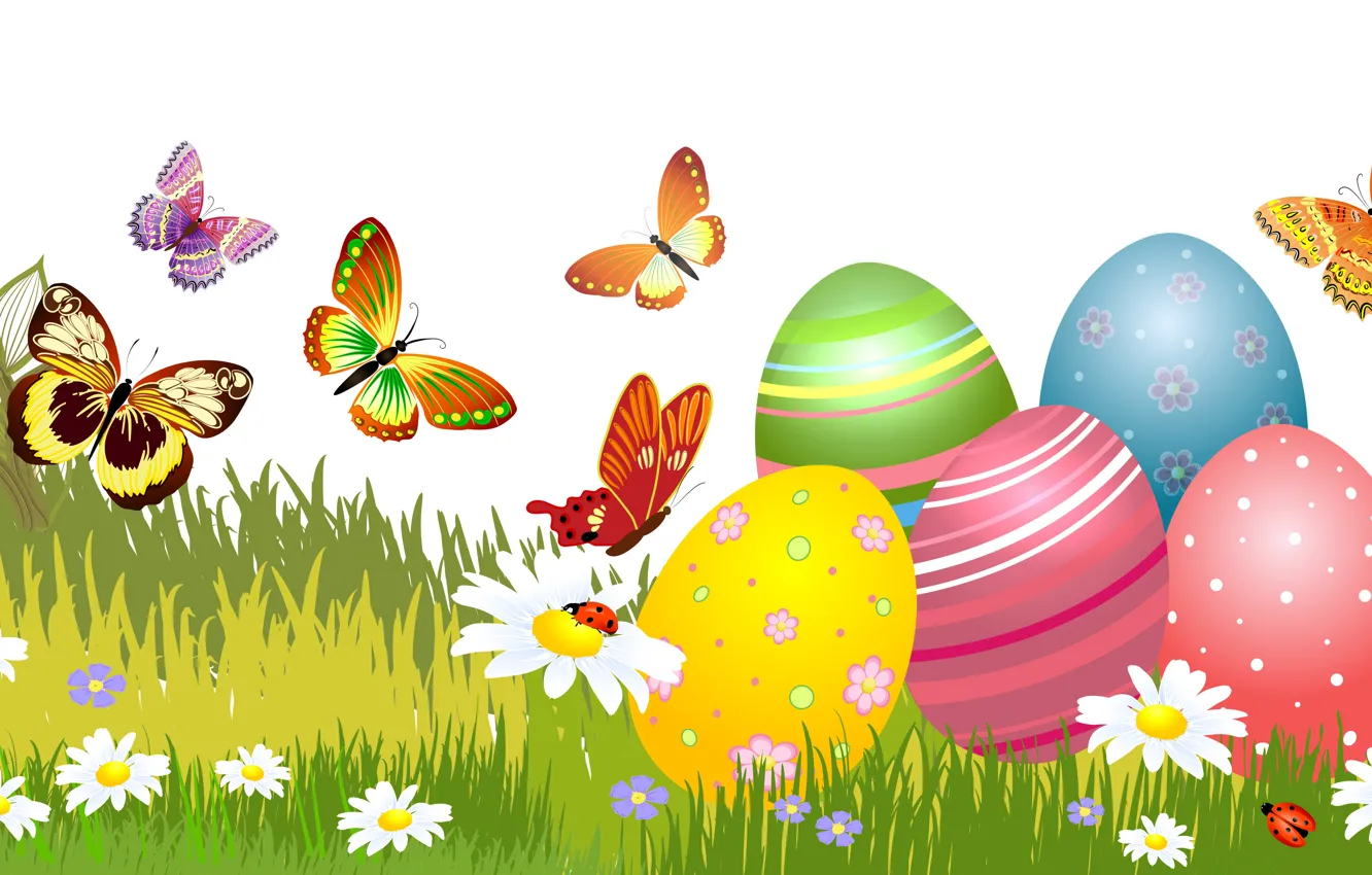 Photo wallpaper grass, holiday, butterfly, chamomile, eggs, Easter, vector graphics