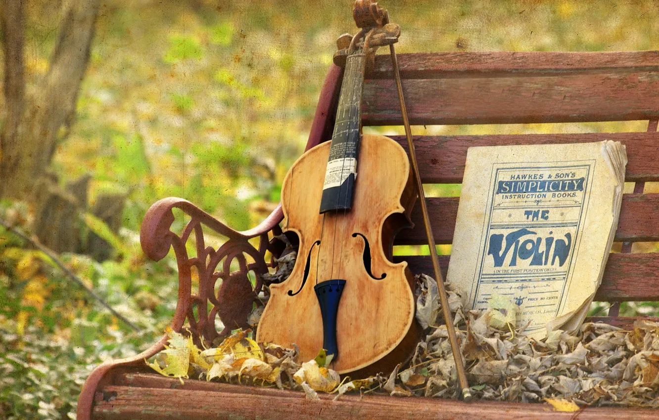 Photo wallpaper music, violin, texture, bench