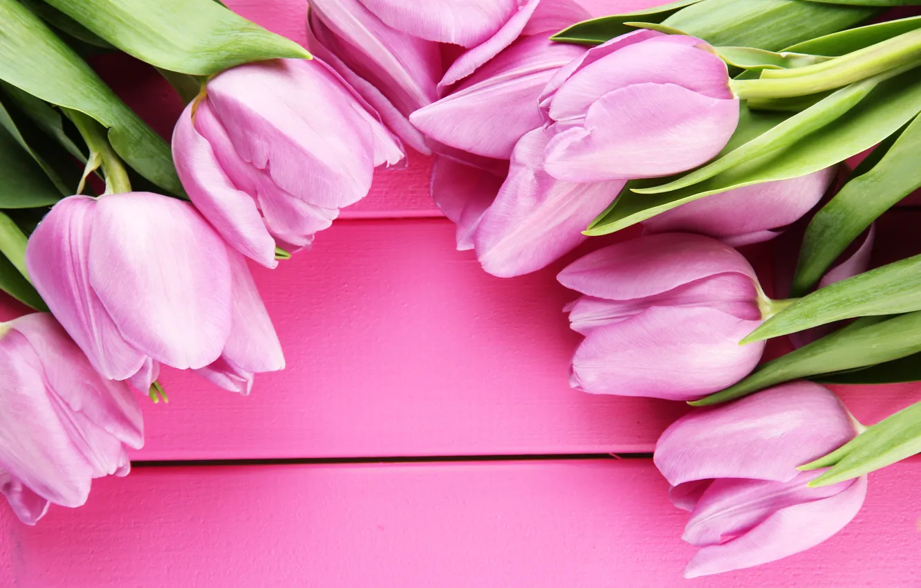 Photo wallpaper flowers, bouquet, tulips, pink, wood, pink, flowers, beautiful