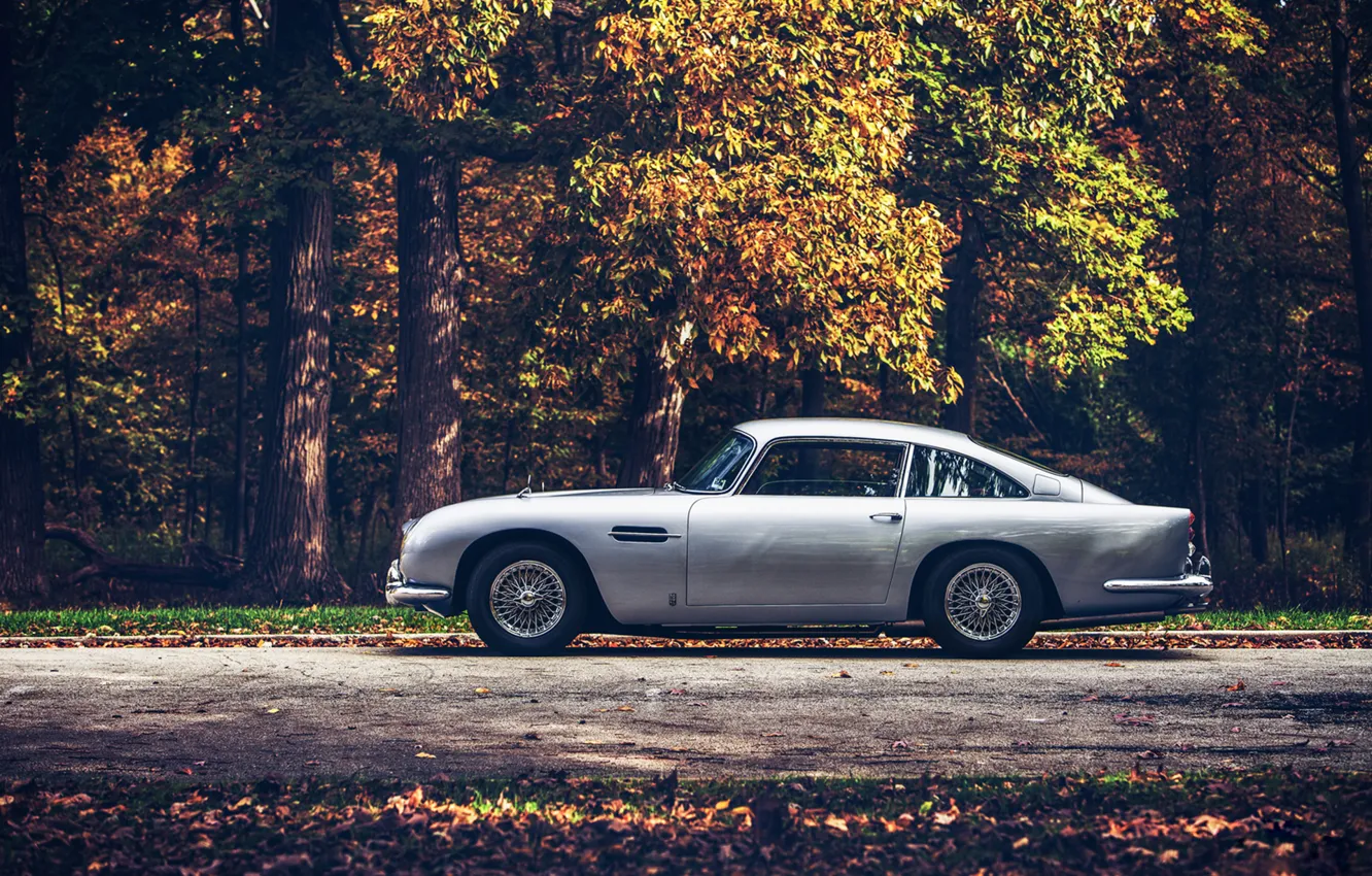 Photo wallpaper road, forest, Aston Martin, 1965, DB5