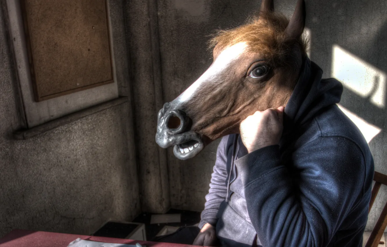 Photo wallpaper horse, people, the situation