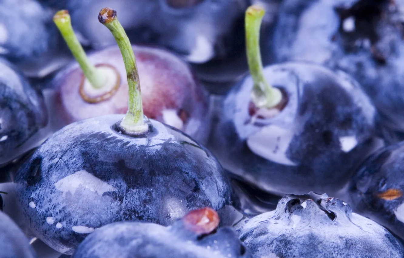 Photo wallpaper water, macro, berries, blueberries, water, macro, 1920x1080, blueberry