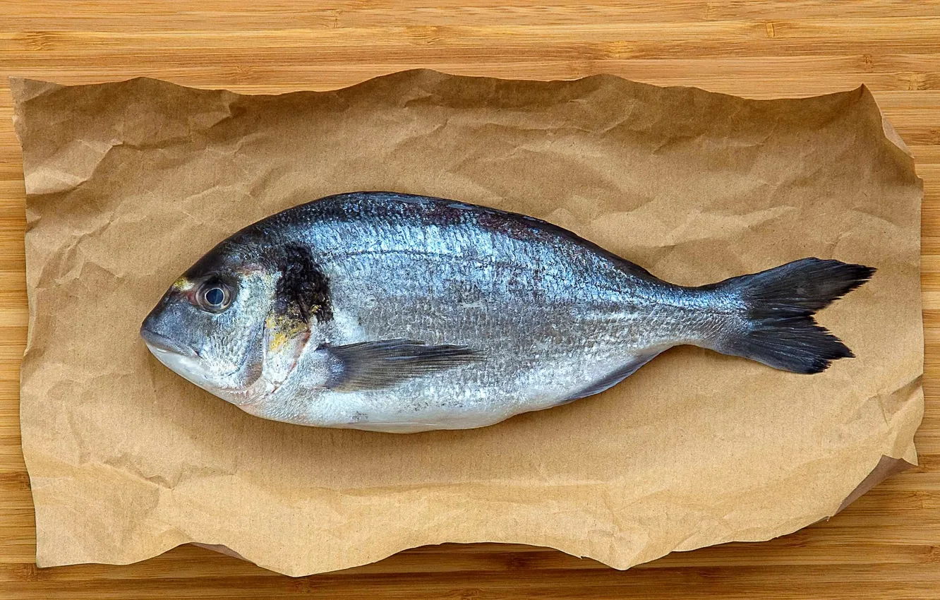 Photo wallpaper paper, food, fish