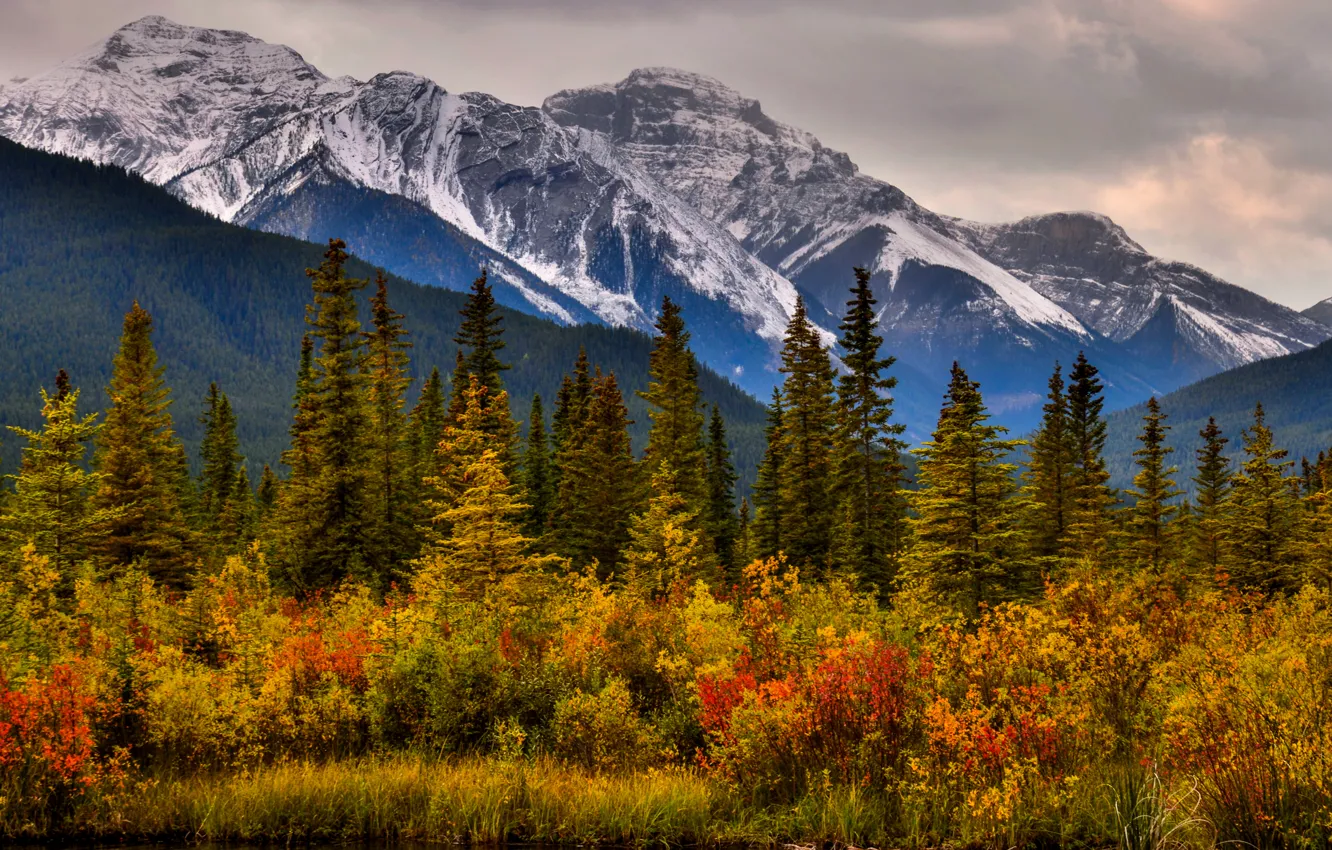 Photo wallpaper autumn, trees, mountains, Canada, Albert, Banff National Park, Alberta, Canada