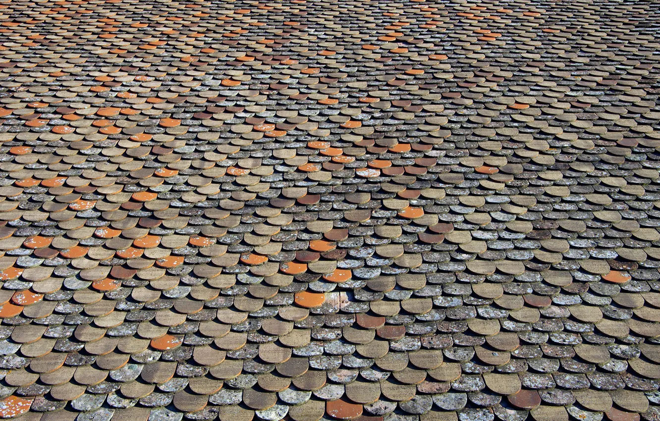 Photo wallpaper roof, paint, tile, roof