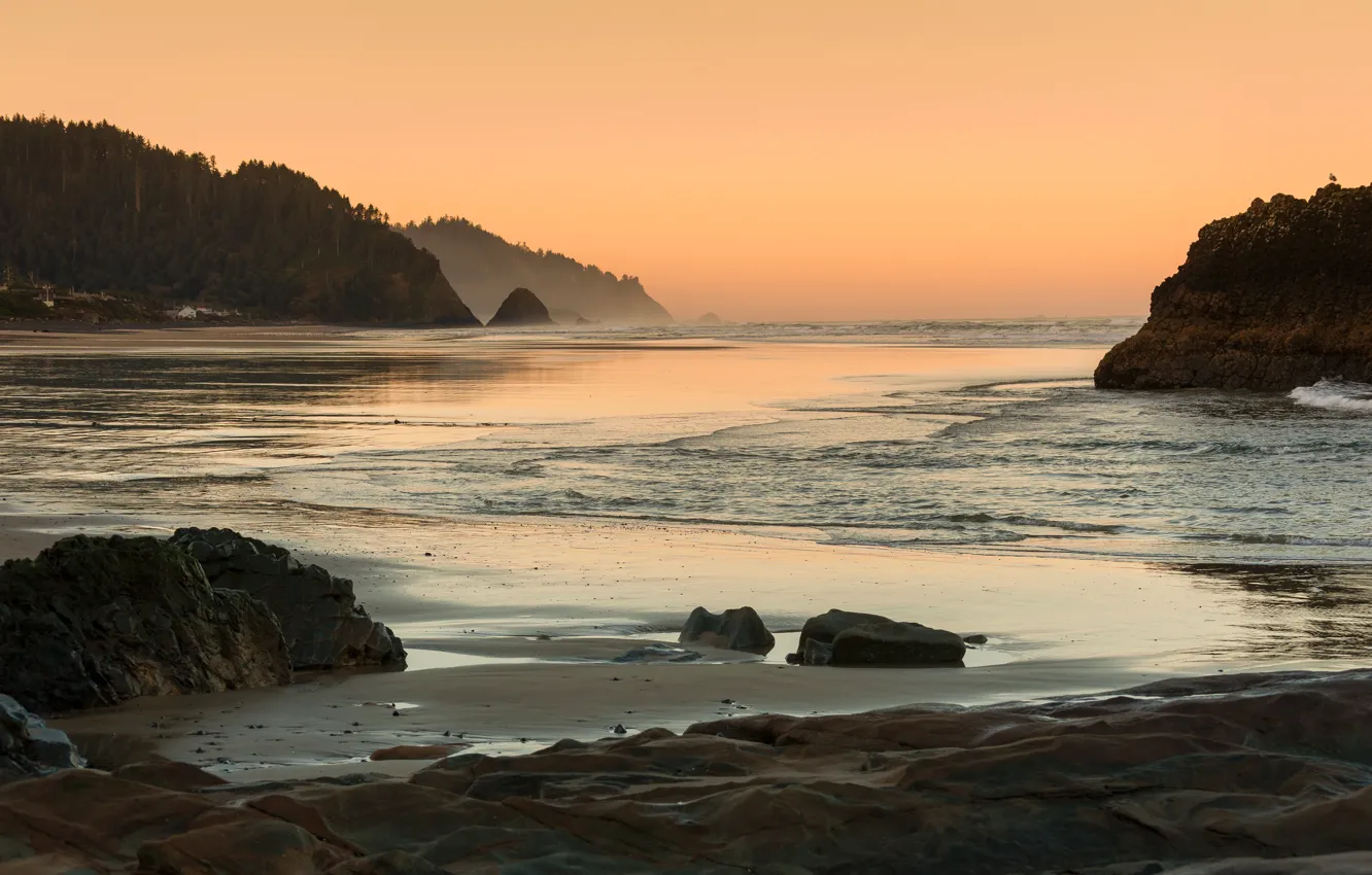 Photo wallpaper sea, forest, the sky, fog, stones, rocks, morning, haze