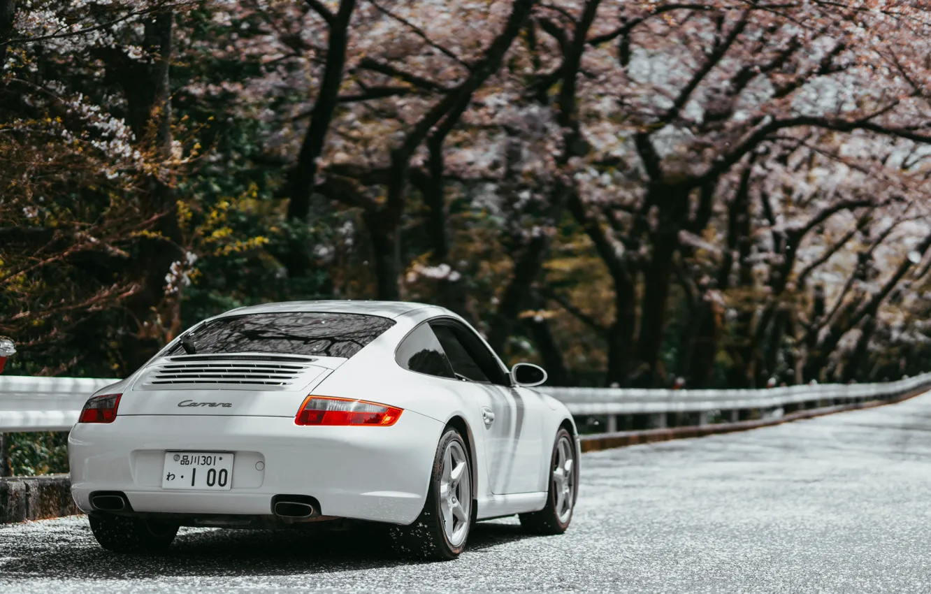 Photo wallpaper 911, Porsche, Japan, Carrera