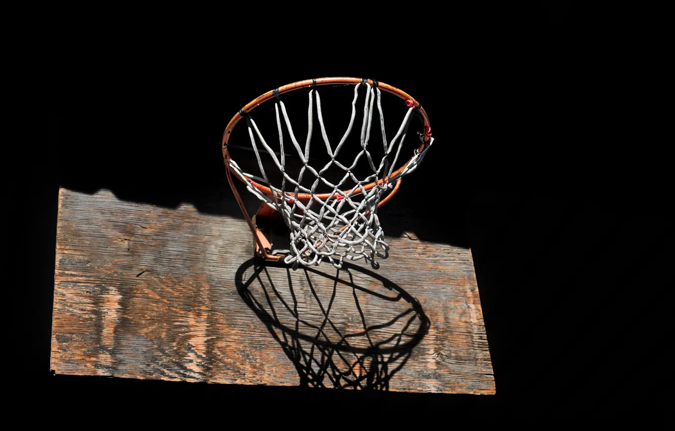 Photo wallpaper ring, shield, basketball
