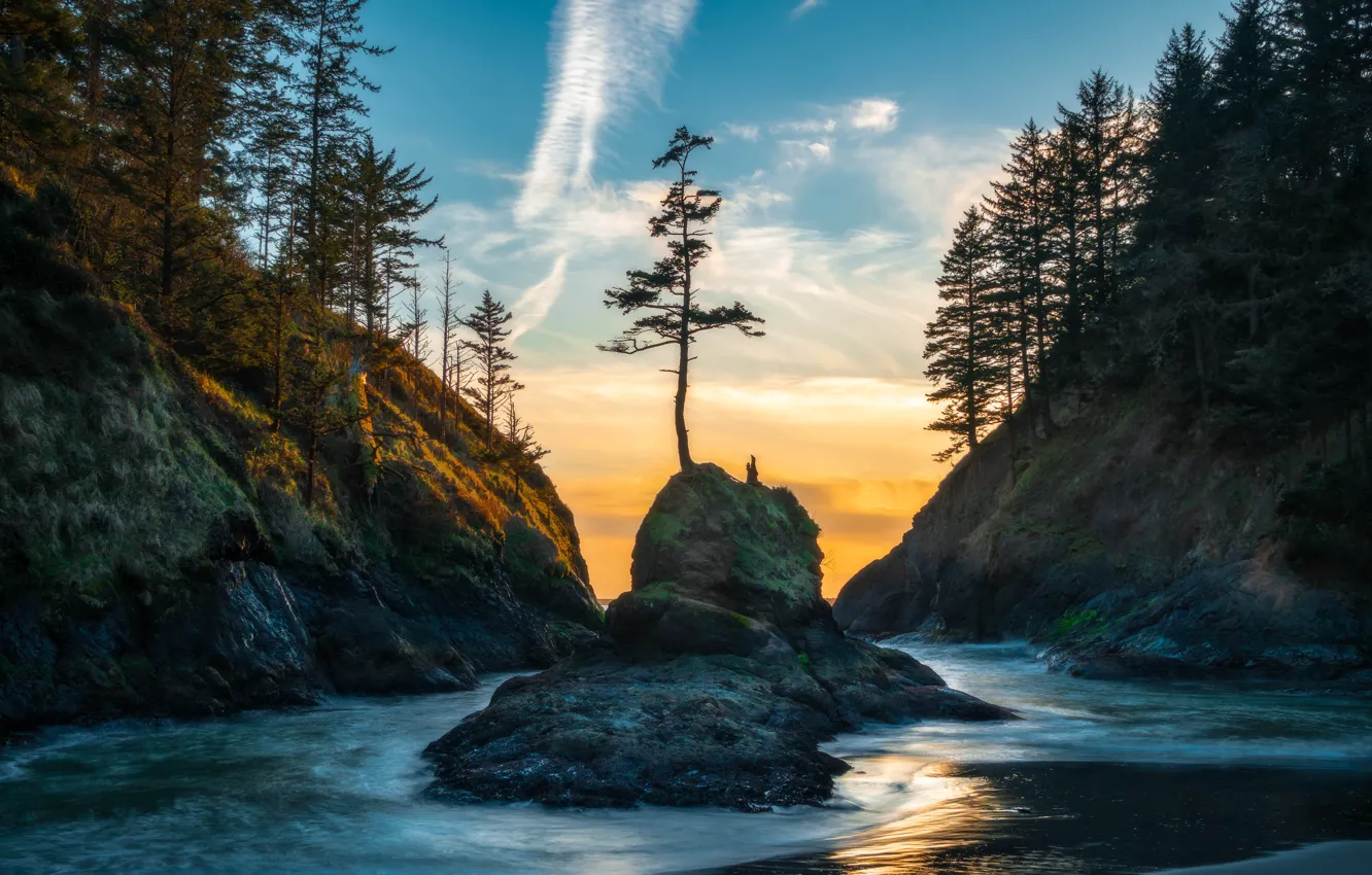 Photo wallpaper trees, landscape, mountains, nature, river, rocks, Washington, USA