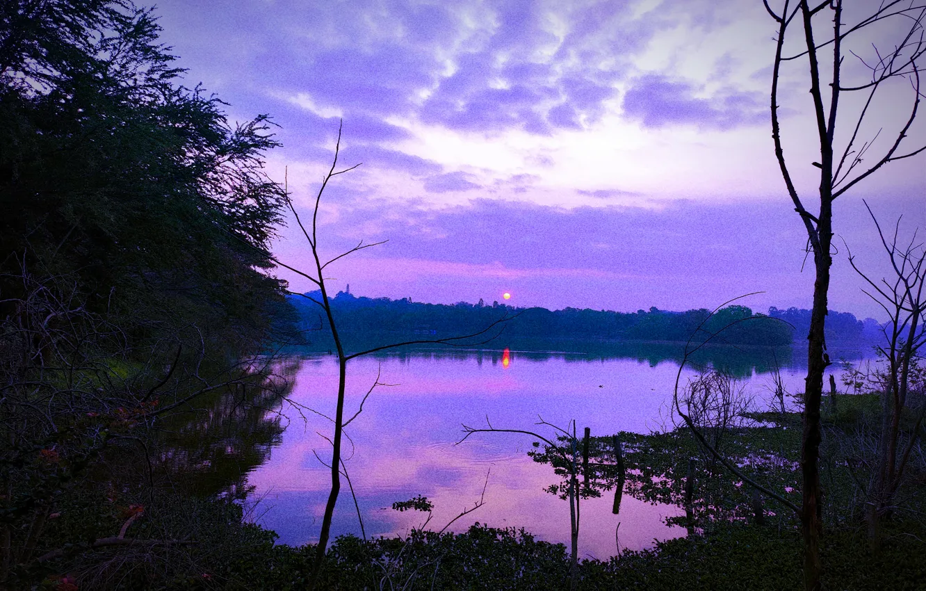 Photo wallpaper sky, trees, water, lake, morning, sun, sunrise, dawn