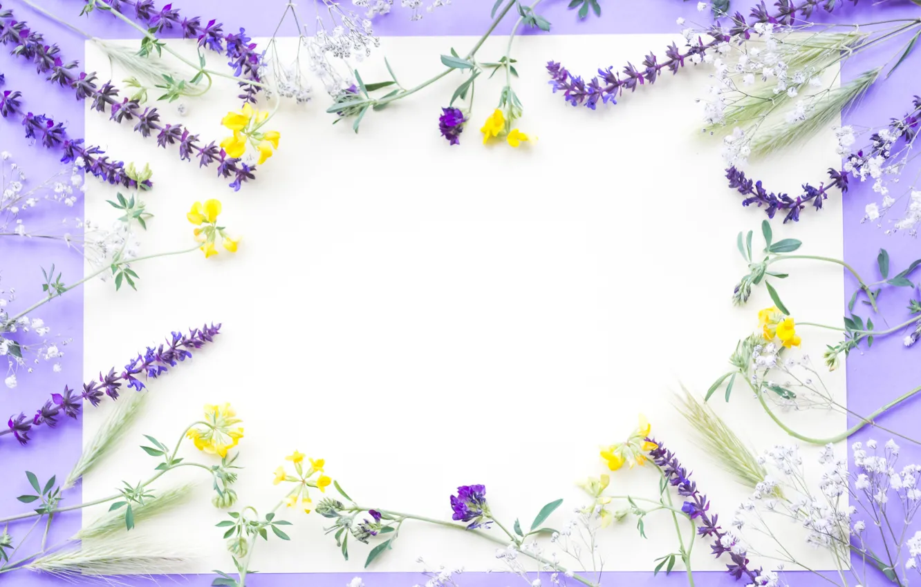 Photo wallpaper flowers, field, yellow, flowers, purple, frame