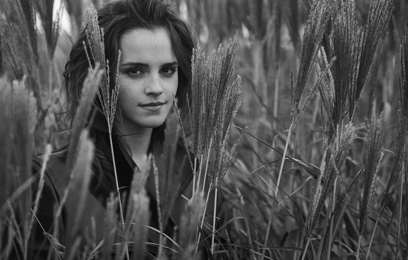 Photo wallpaper field, girl, actress, ears, girl, Emma Watson, Emma Watson, smile