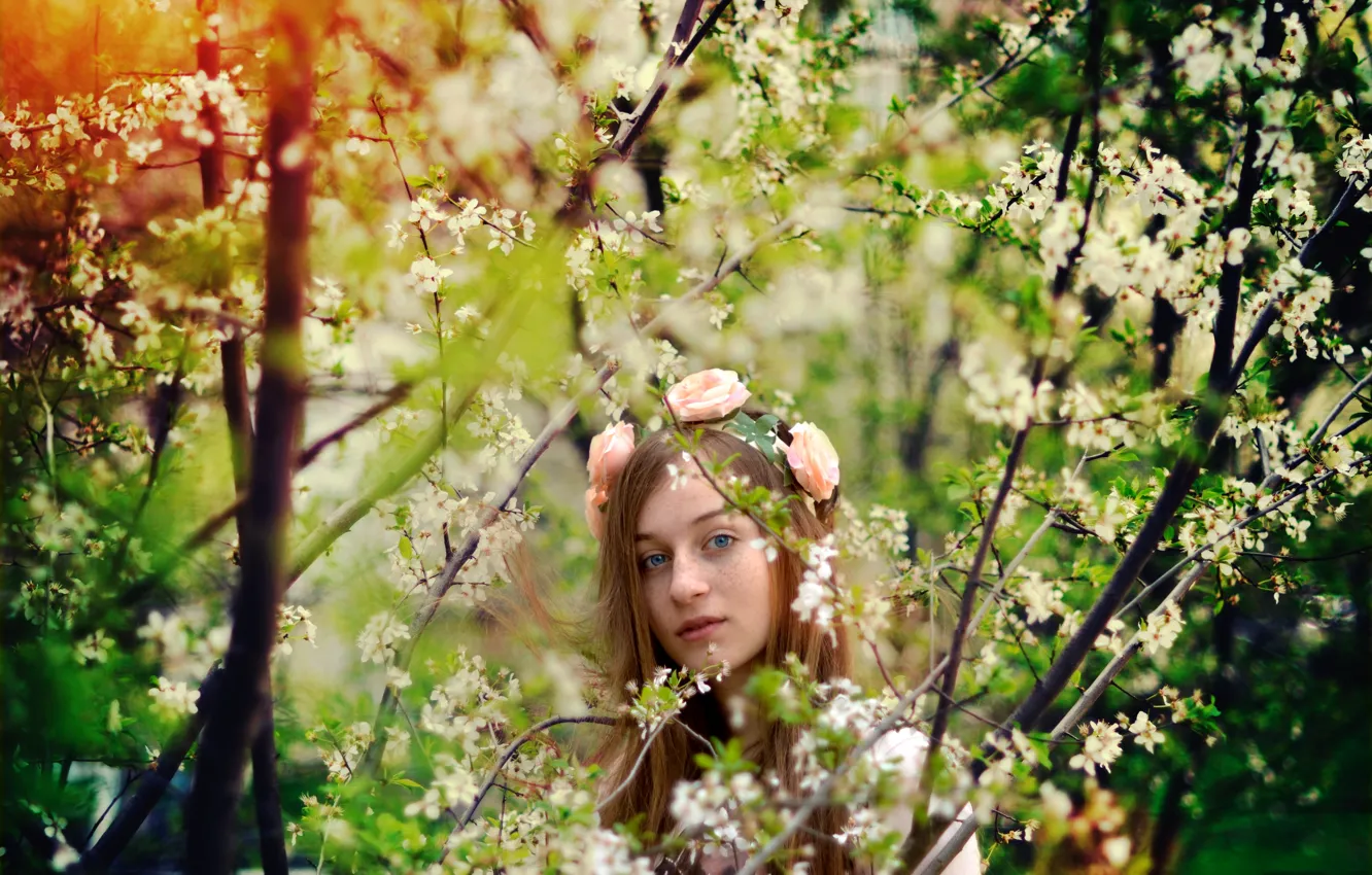 Photo wallpaper girl, flowers, branches, brown hair, blue-eyed