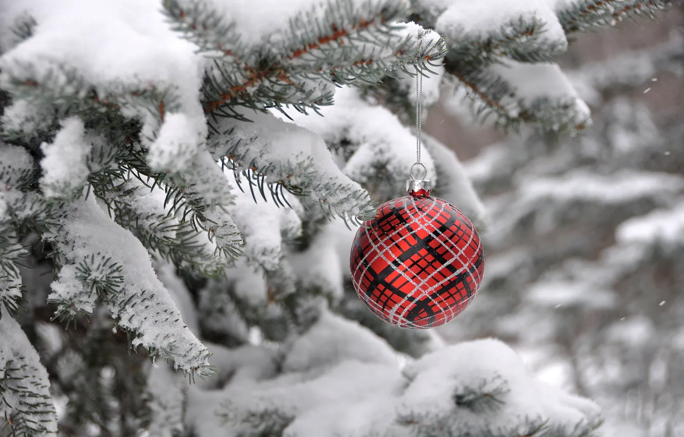 Photo wallpaper winter, tree, new year, Christmas, spruce, ball, decoration