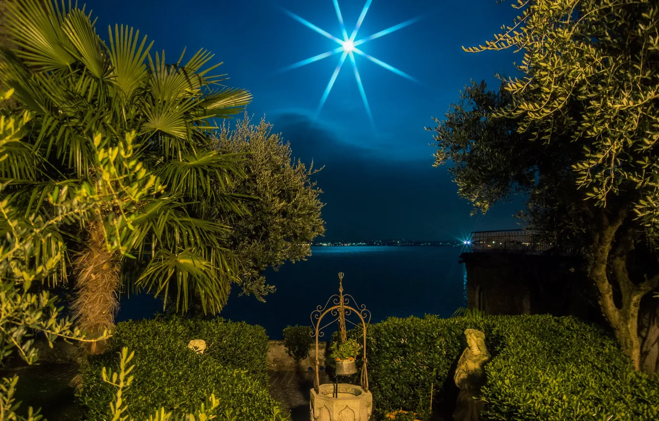 Photo wallpaper night, lake, palm trees, the moon, coast, Italy, the bushes, Lombardy