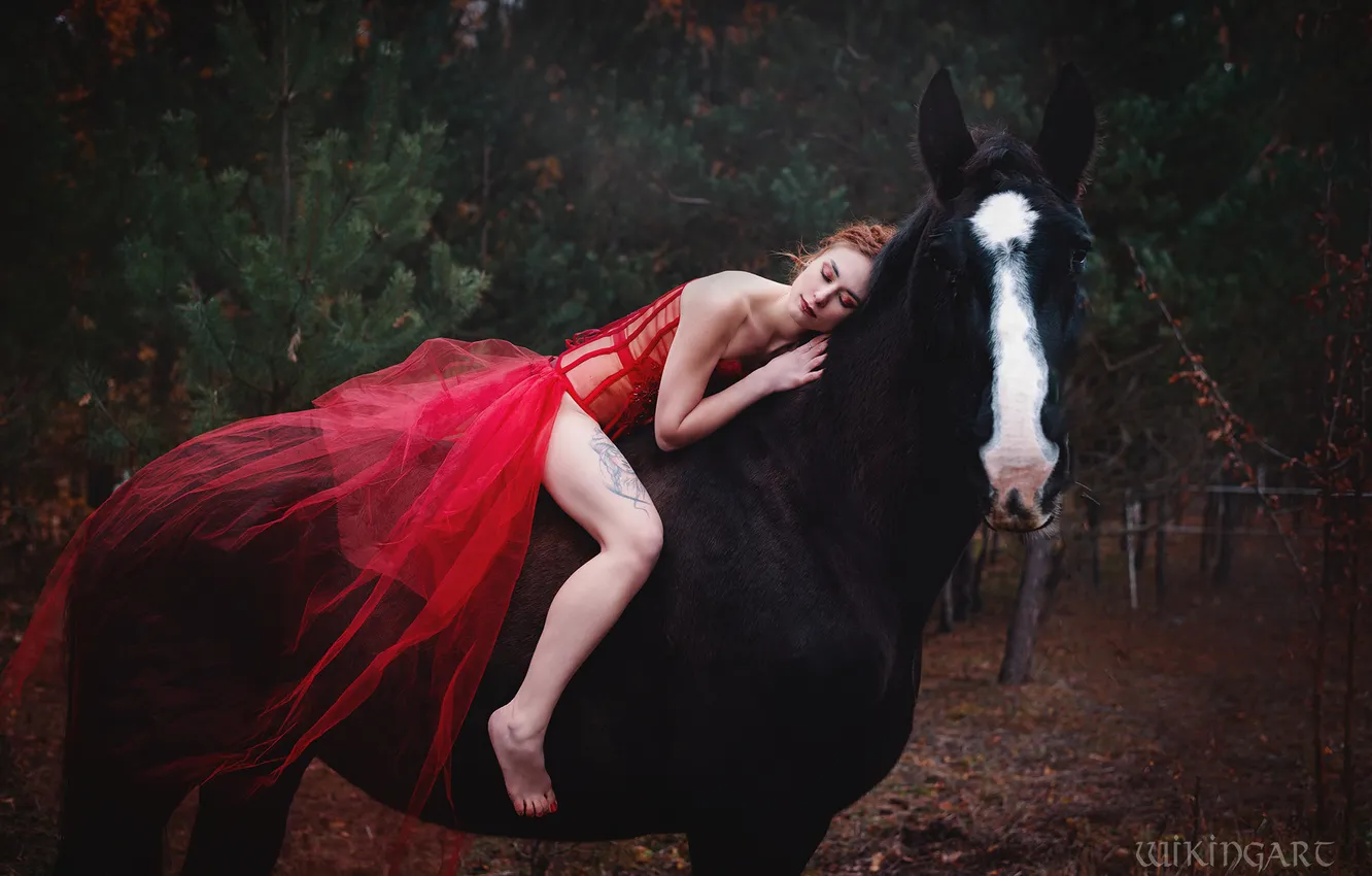 Photo wallpaper girl, red, nature, pose, Park, horse, feet, black