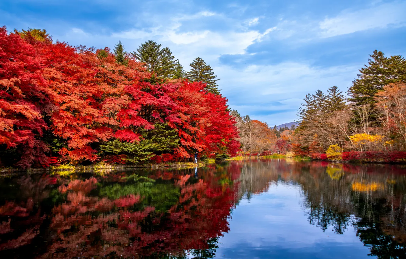 Photo wallpaper autumn, forest, Asia, pond