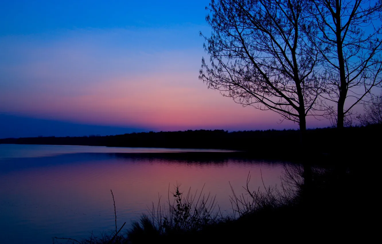 Photo wallpaper forest, blue, river, dawn, pink