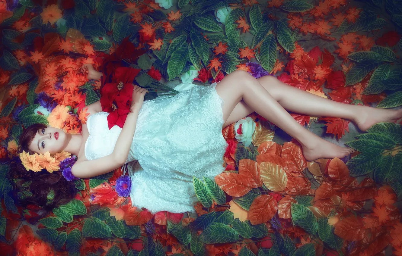 Photo wallpaper girl, pose, background